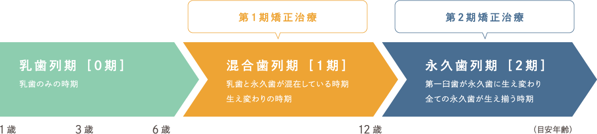 矯正治療の時期の目安
