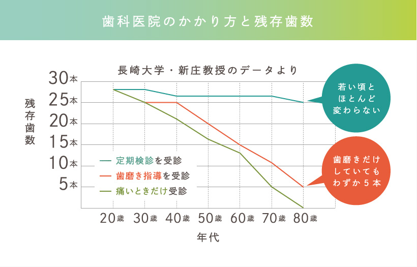 歯科医院のかかり方と残存歯数